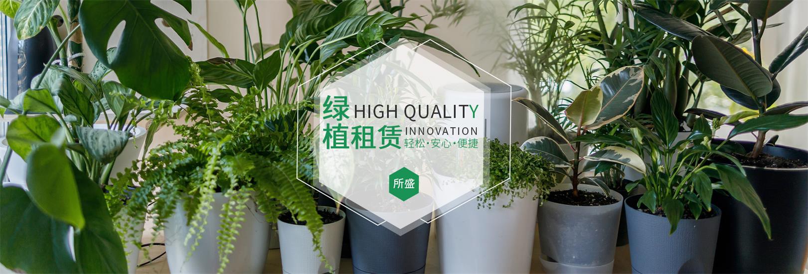 临港绿化租赁转包